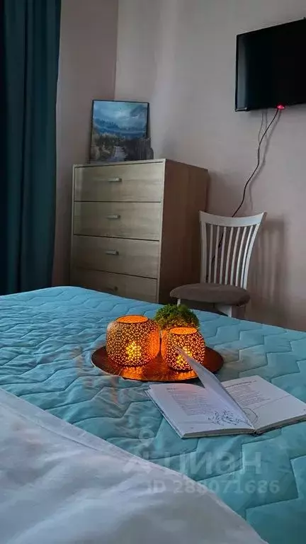 2-к кв. Воронежская область, Воронеж ул. 9 Января, 68к3 (62.0 м) - Фото 2