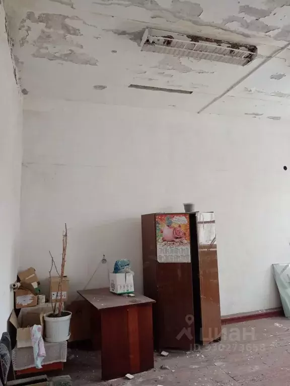 Помещение свободного назначения в Омская область, Кормиловский район, ... - Фото 1