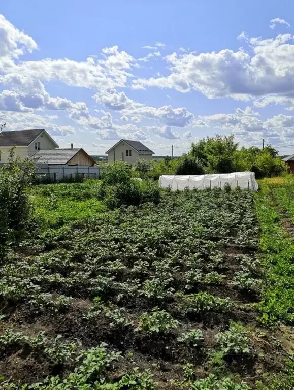 Участок в Нижегородская область, Арзамас Ивановский мкр,  (8.0 сот.) - Фото 0