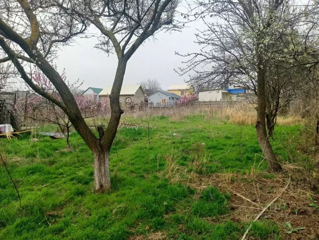 Дом в Краснодарский край, Анапа муниципальный округ, Благовещенская ... - Фото 1