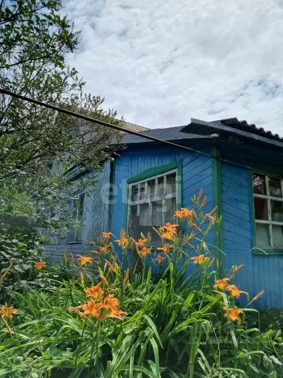 Дом в Оренбургская область, Новосергиевский район, с. Старая Белогорка ... - Фото 1