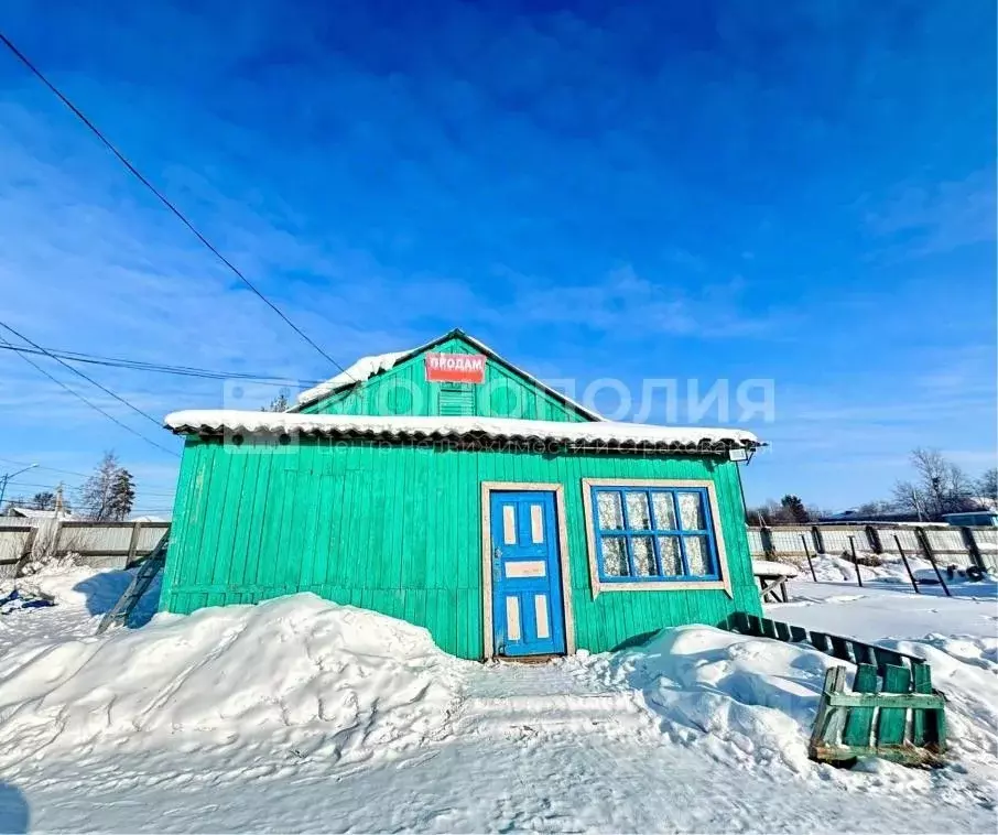 Дом в Амурская область, Белогорск городской округ, с. Низинное ул. ... - Фото 1