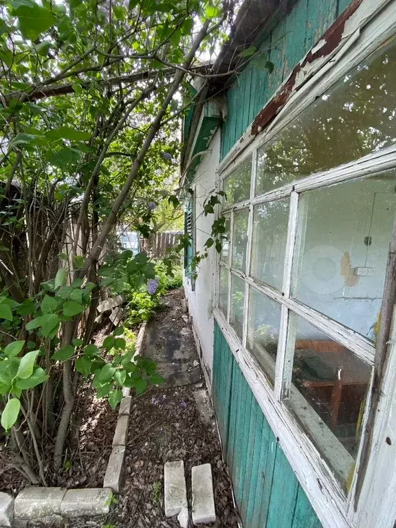 Дача 18,2 м на участке 4,6 сот. - Фото 1