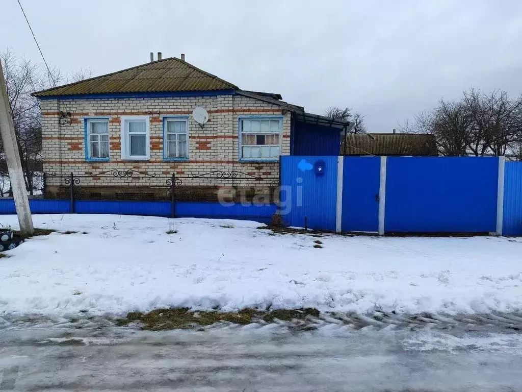 Дом в Белгородская область, Красненский район, Готовское с/пос, с. ... - Фото 1