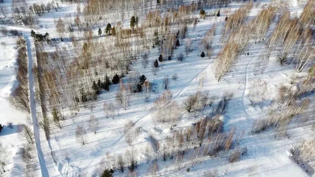 Участок в Томская область, Томск пос. Родионово, ул. Светлая, 13 (6.0 ... - Фото 2
