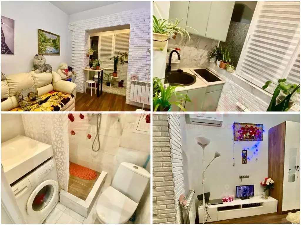 Студия Ростовская область, Ростов-на-Дону Кузнечная ул., 115 (30.0 м) - Фото 1