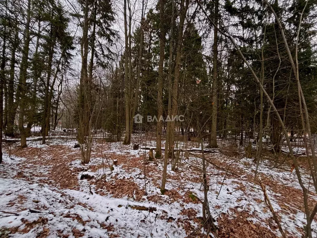 Участок в Московская область, Наро-Фоминский городской округ, д. ... - Фото 1