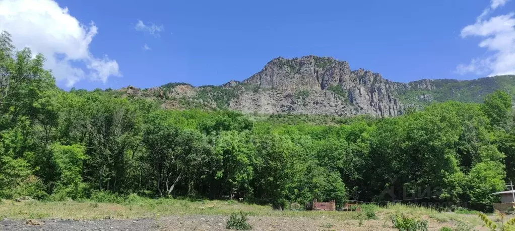 Участок в Крым, Алушта муниципальный округ, с. Лучистое 1 (55.82 сот.) - Фото 0