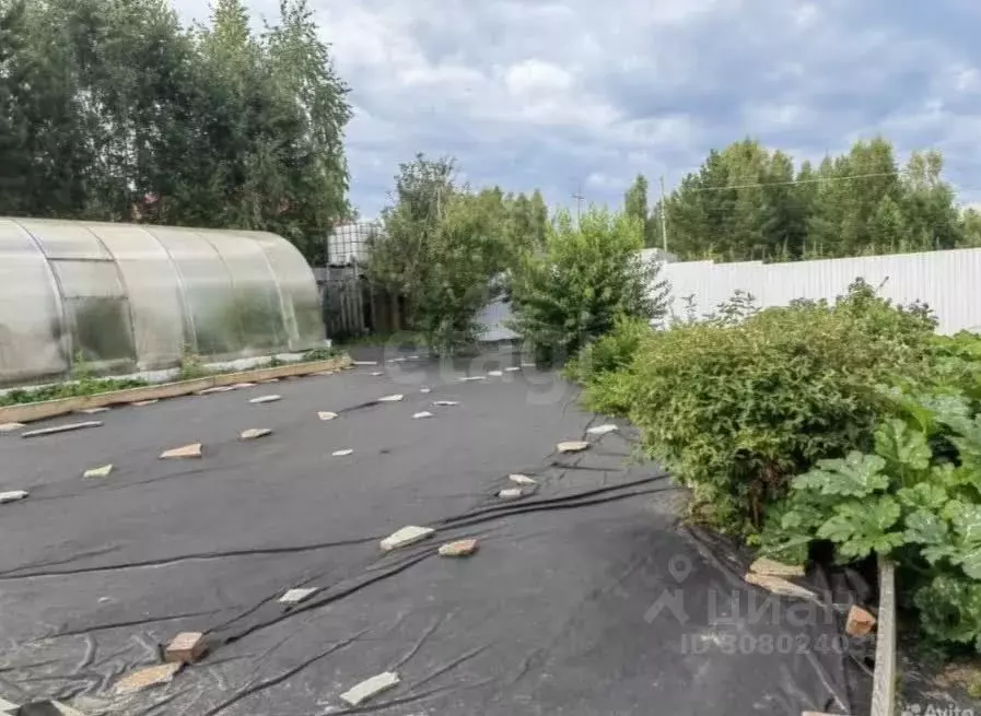 Участок в Тюменская область, Тюменский район, д. Коняшина  (6.29 сот.) - Фото 0