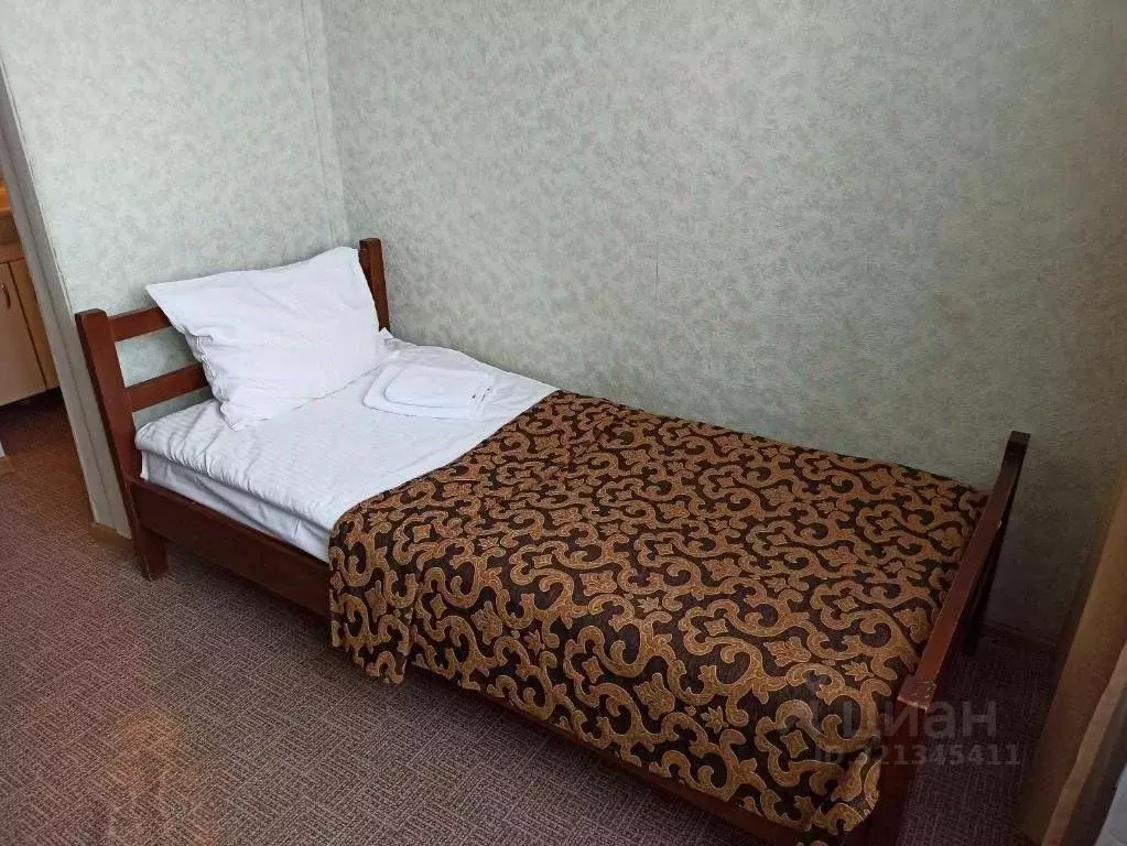 Комната Московская область, Пушкинский городской округ, д. ... - Фото 1