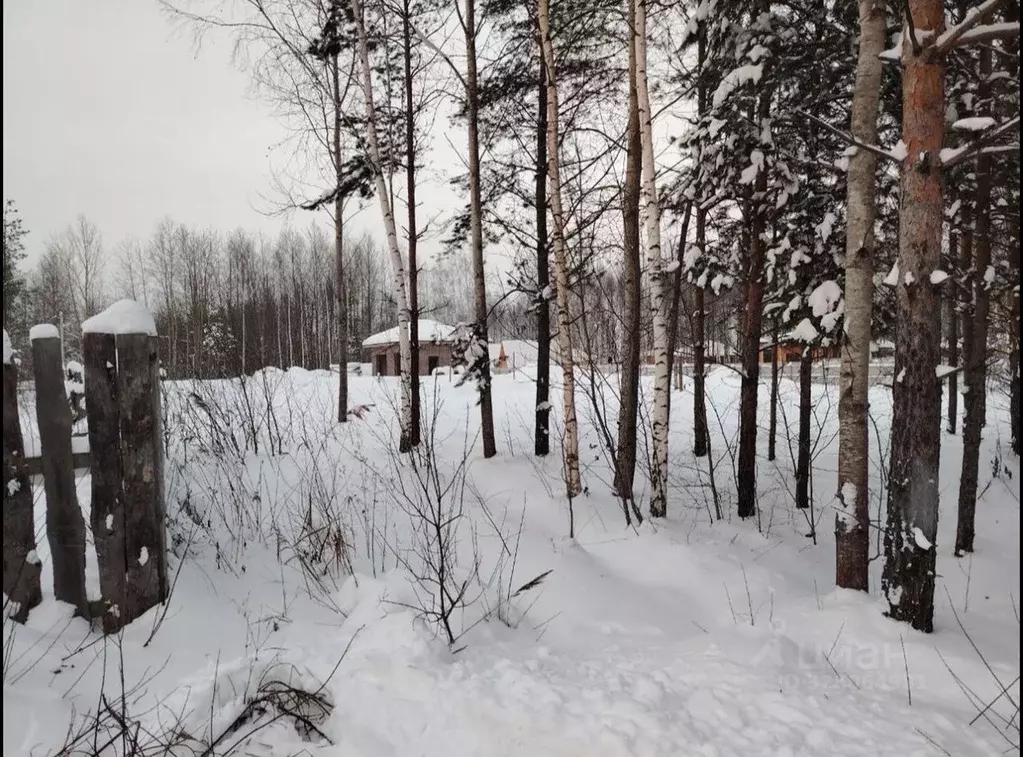Участок в Московская область, Ликино-Дулево Орехово-Зуевский городской ... - Фото 2