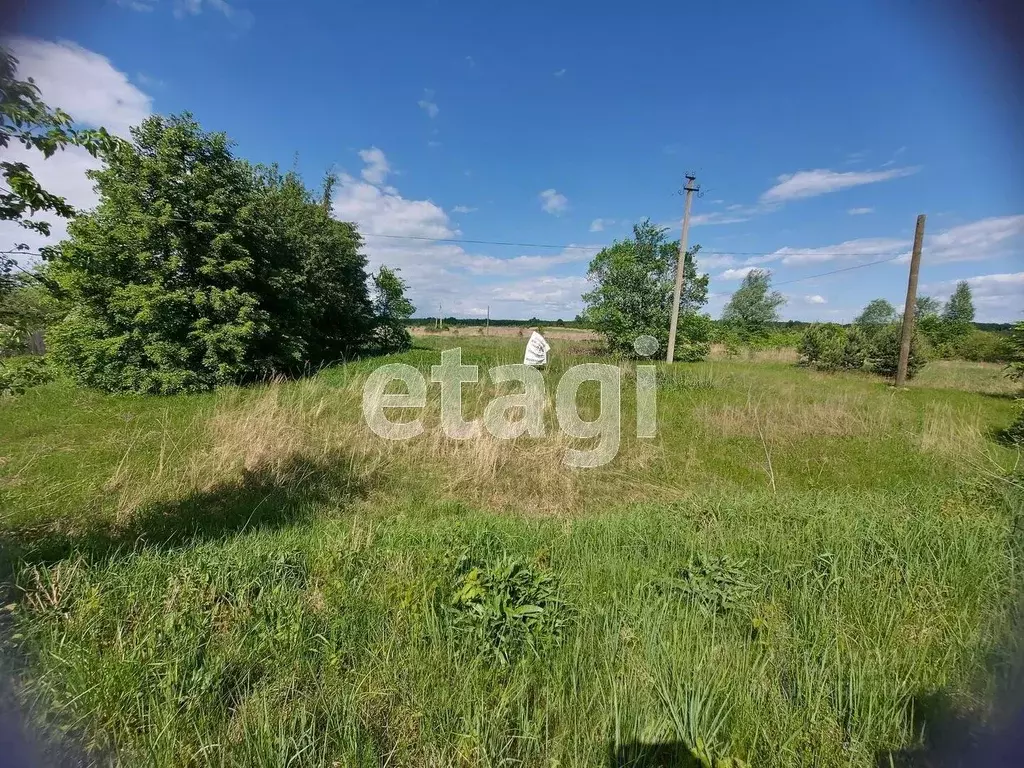 Участок в Владимирская область, Муром  (25.0 сот.) - Фото 1