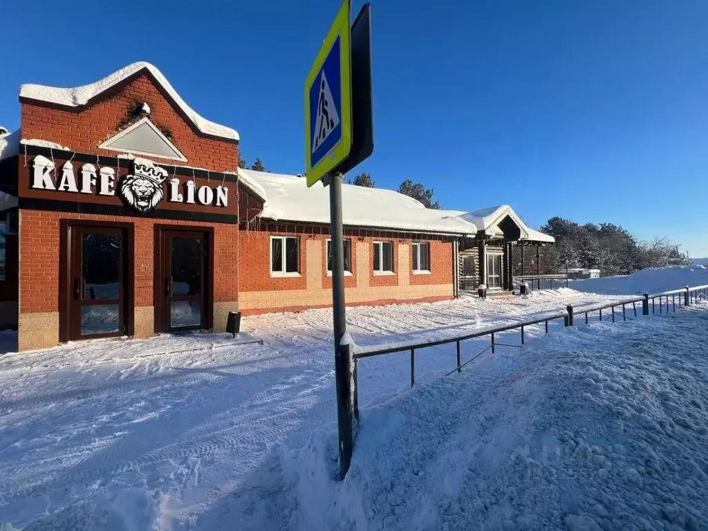 Помещение свободного назначения в Удмуртия, с. Завьялово ул. Нагорная, ... - Фото 1