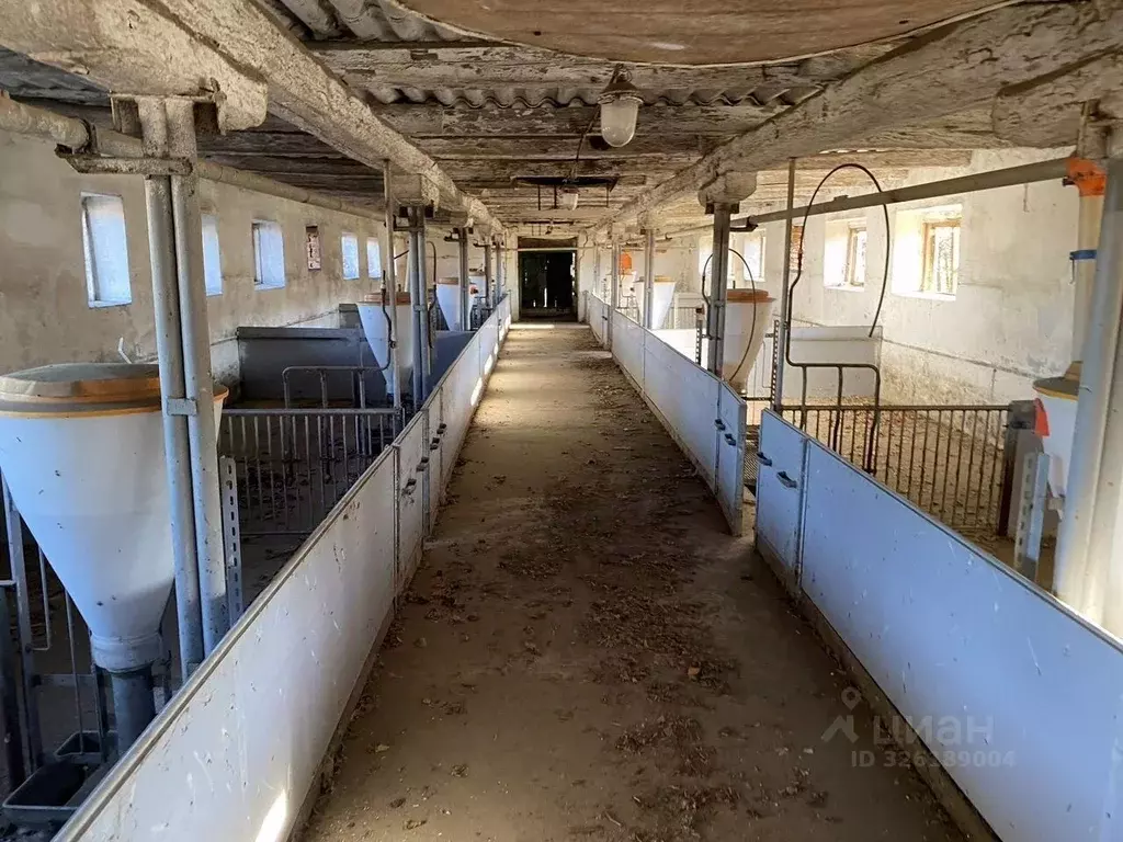 Помещение свободного назначения в Краснодарский край, Усть-Лабинский ... - Фото 1