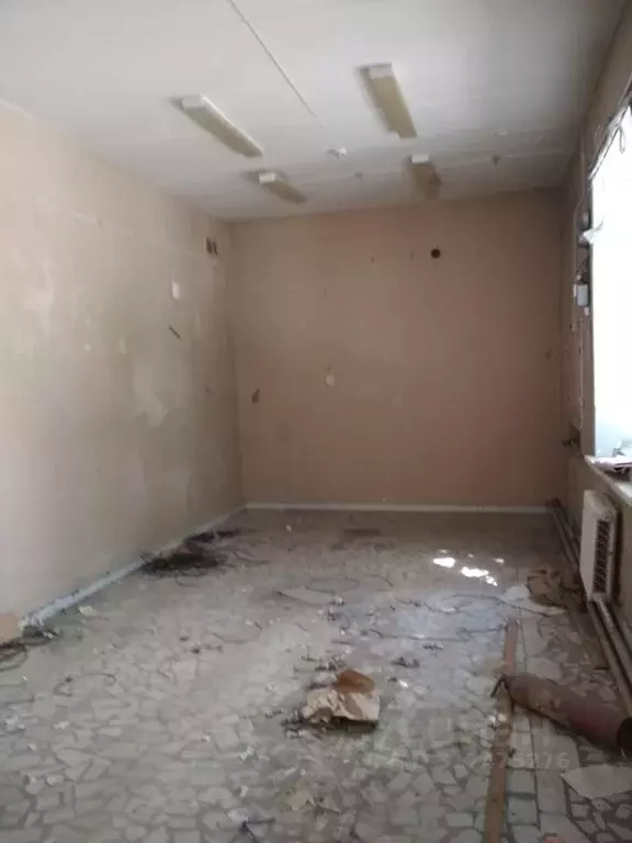 Помещение свободного назначения в Чувашия, Чебоксары ул. Шумилова, 20 ... - Фото 0