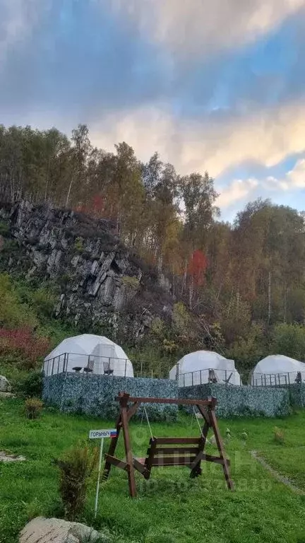 Дом в Алтайский край, Алтайский район, с. Ая ул. Березовая, 13 (28 м) - Фото 0