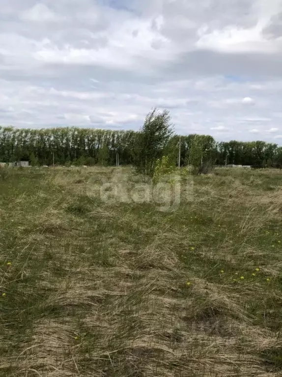 Участок в Мордовия, Лямбирский район, с. Берсеневка  (15.0 сот.) - Фото 0