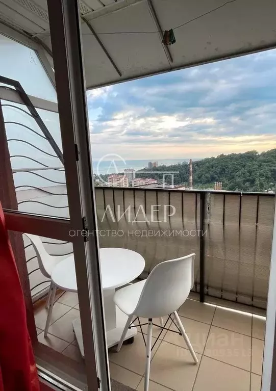 1-к кв. Краснодарский край, Сочи ул. Яна Фабрициуса, 293 (27.0 м) - Фото 2