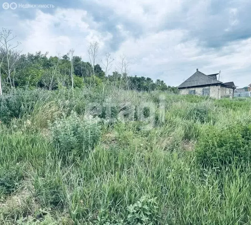 Участок в Белгородская область, Алексеевка (11 м) - Фото 1