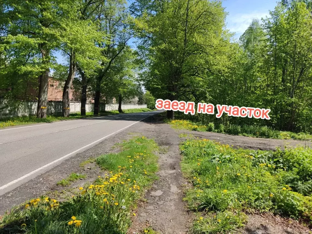 Участок в Калининградская область, Приморск  (8.0 сот.) - Фото 1