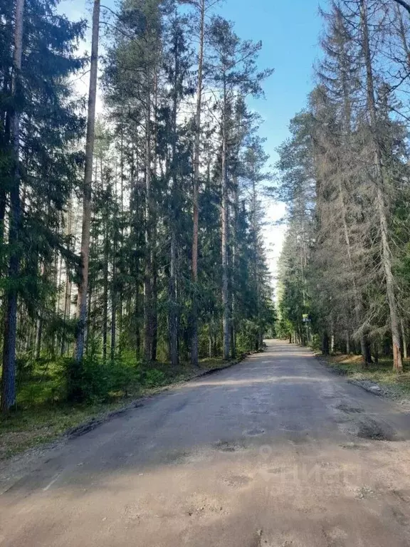 Участок в Ленинградская область, Выборгский район, Полянское с/пос, ... - Фото 2