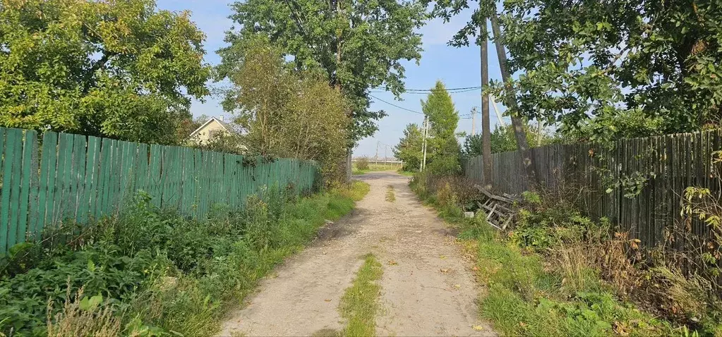 Участок в Ленинградская область, Волосовский район, Большеврудское ... - Фото 1