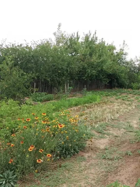 Участок в Волгоградская область, Городищенское городское поселение, ... - Фото 0