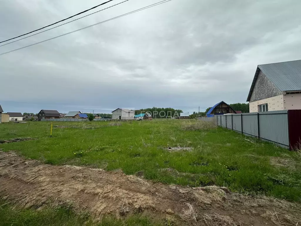 Участок в Новосибирская область, Коченево рп 10-я линия, 15 (10.0 ... - Фото 1