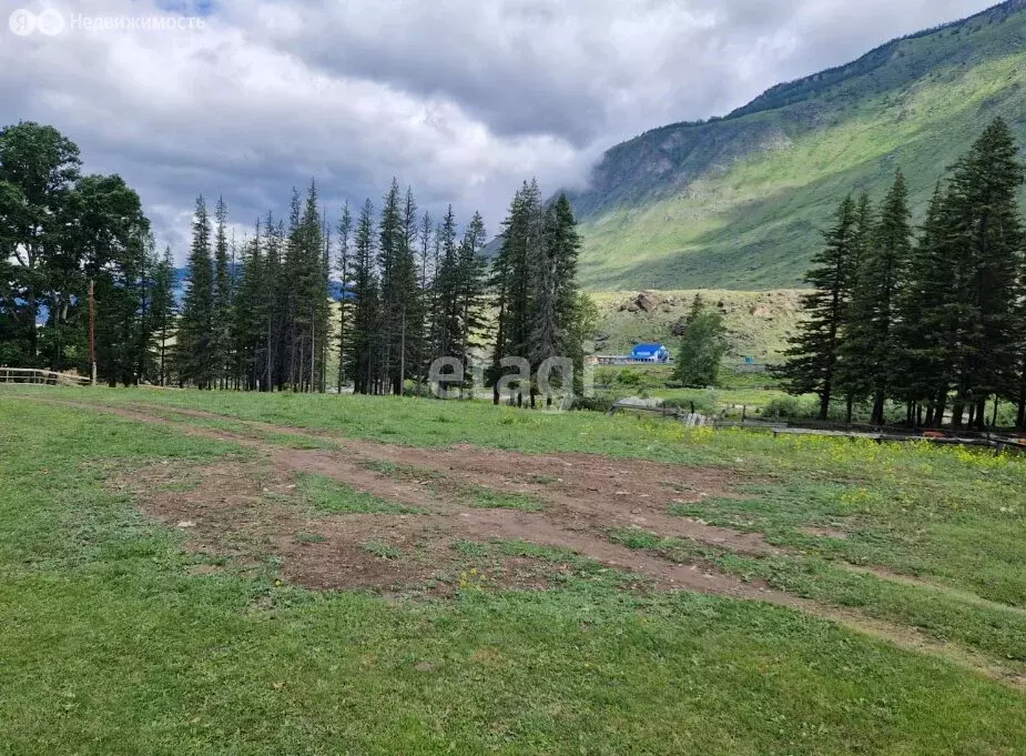 Участок в село Чибит, Садовая улица (26 м) - Фото 0