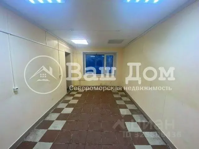 Помещение свободного назначения в Мурманская область, Североморск ул. ... - Фото 1