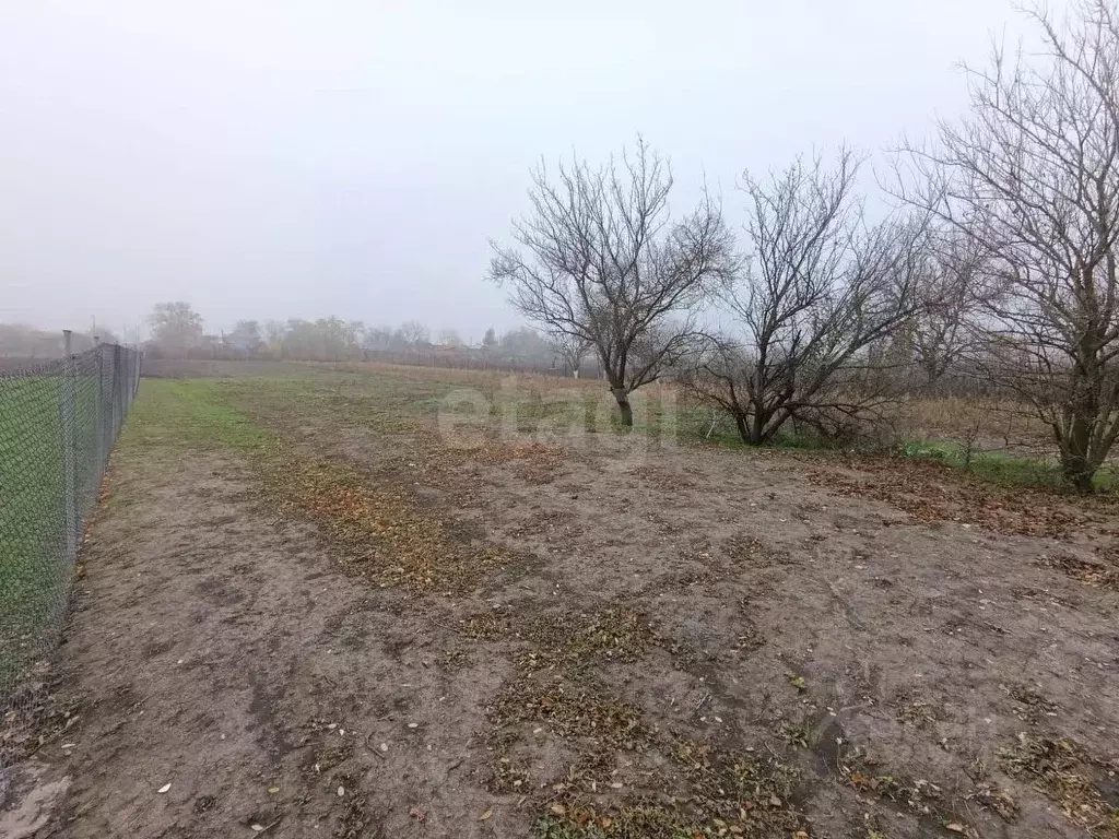 Участок в Ростовская область, Азовский район, с. Елизаветовка ... - Фото 1