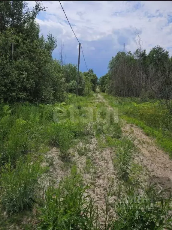 Участок в Ленинградская область, Лужский район, пос. Оредеж ул. ... - Фото 0