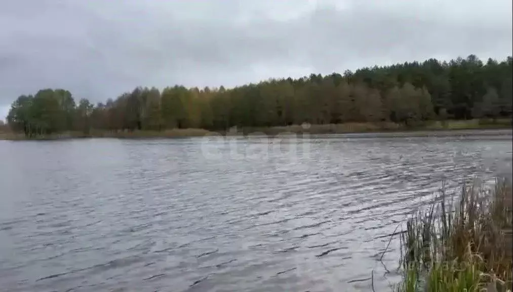 Участок в Брянская область, Навлинский район, Алтухово рп  (400.0 ... - Фото 1