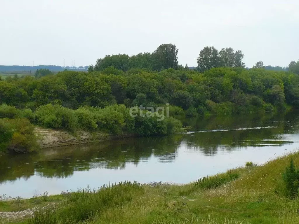Участок в Тюменская область, Исетский муниципальный округ, с. ... - Фото 1
