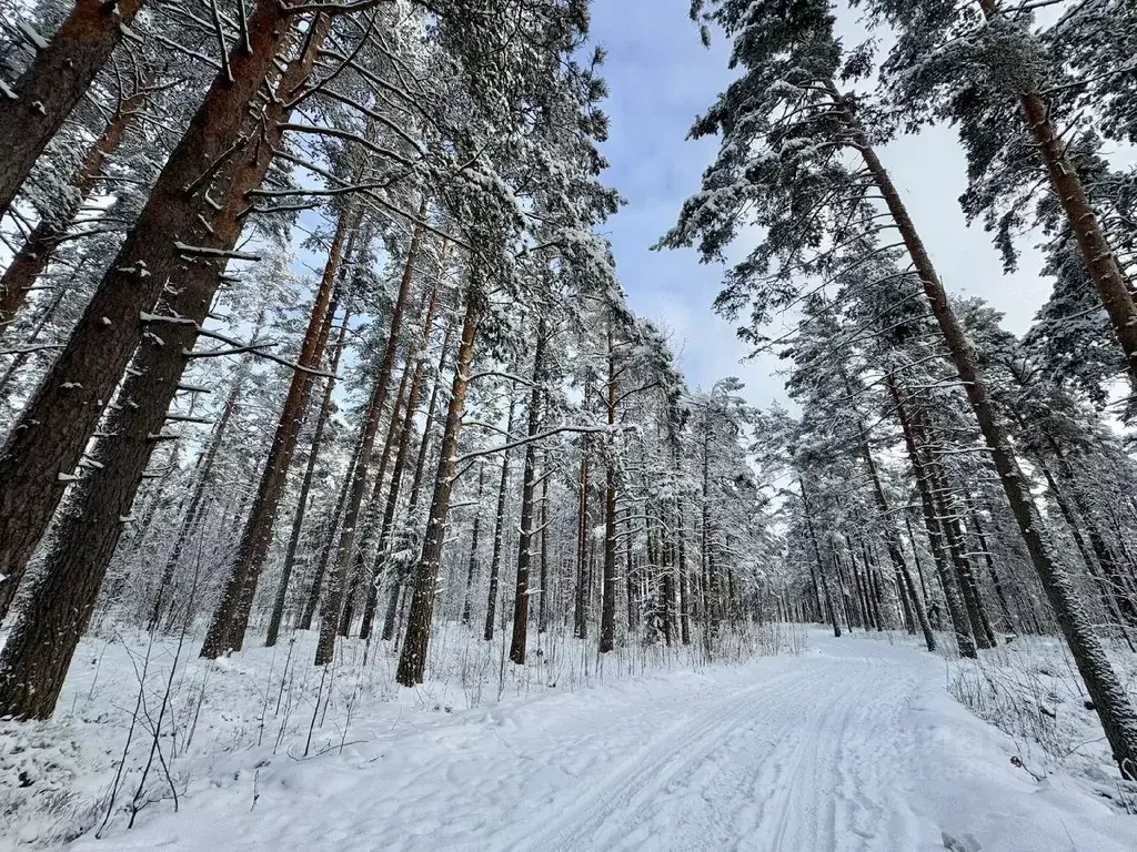 Участок в Ленинградская область, Выборгский район, Полянское с/пос, ... - Фото 0