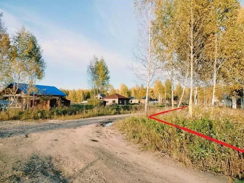 Участок в Новосибирская область, Новосибирский район, Станционный ... - Фото 1