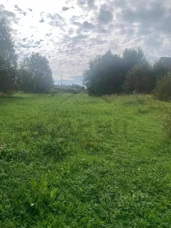 Участок в Калужская область, Дзержинский район, Рудня с/пос, д. Матово ... - Фото 2