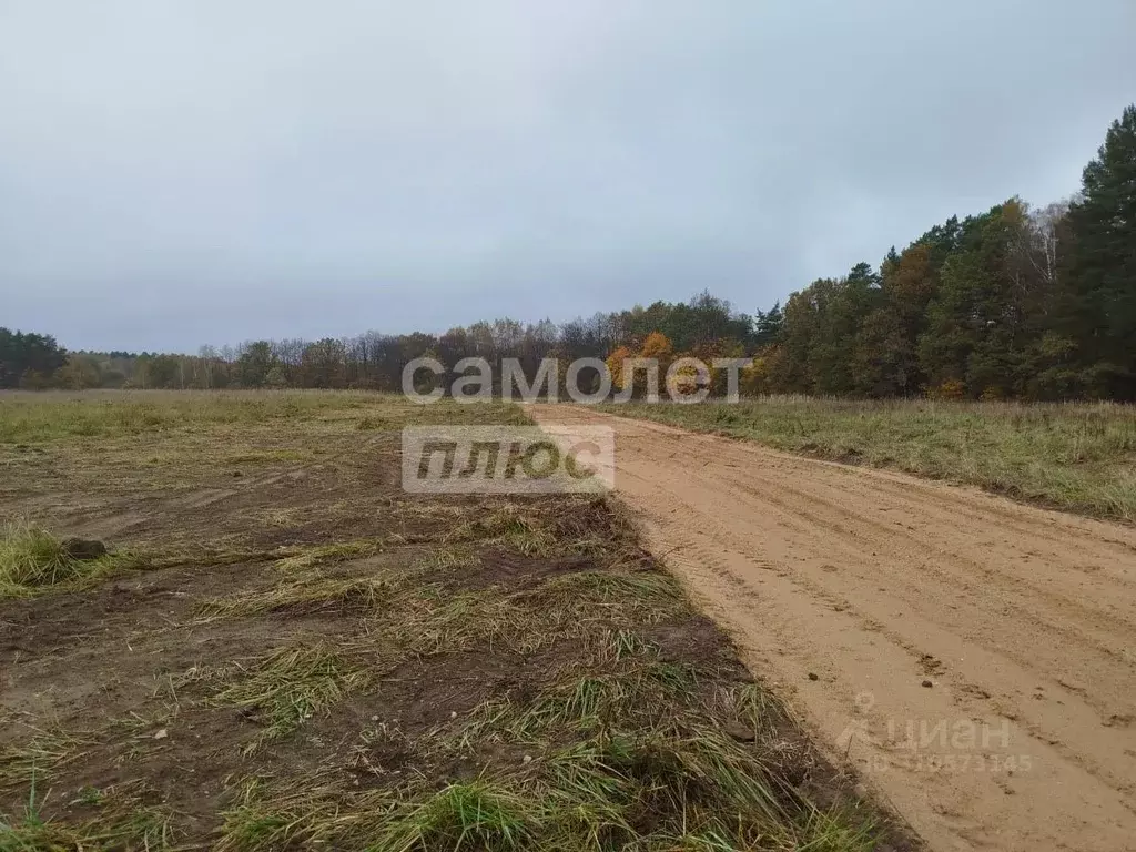 Участок в Московская область, Серпухов городской округ, д. ... - Фото 1