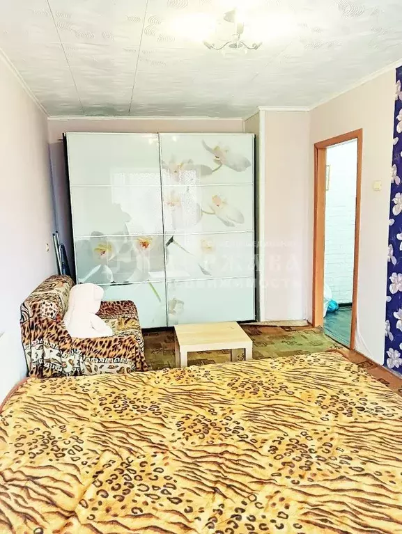 1-к кв. Кемеровская область, Кемерово Инициативная ул., 24А (33.0 м) - Фото 0