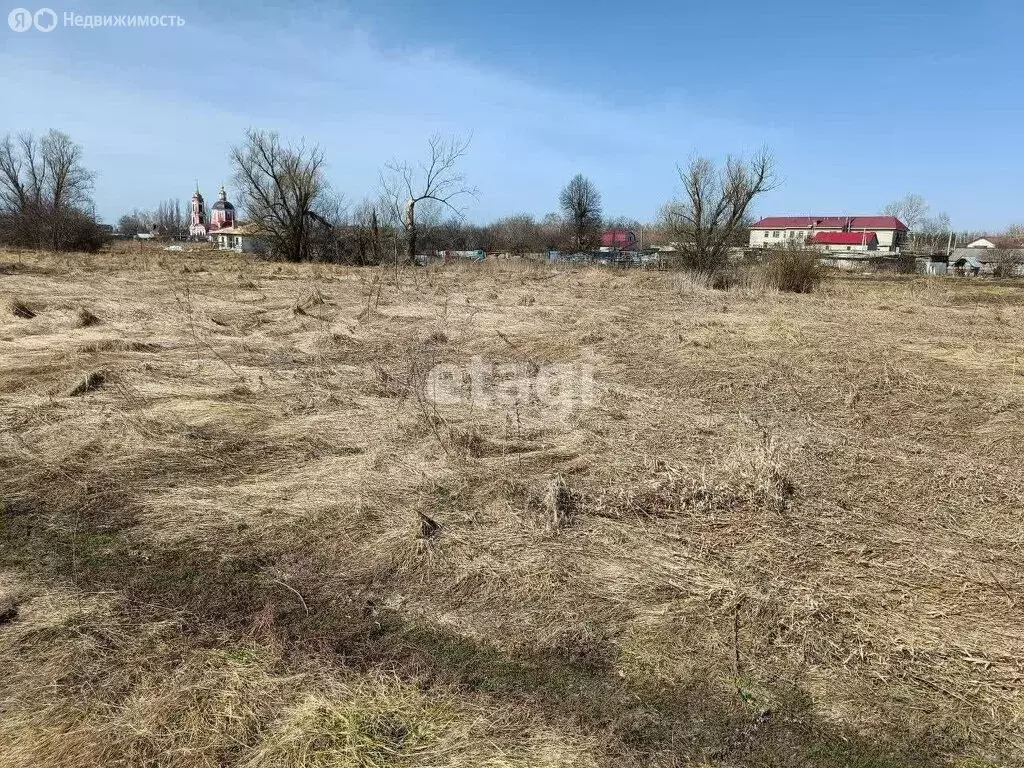 Участок в Рамонский район, Новоживотинновское сельское поселение, ... - Фото 1