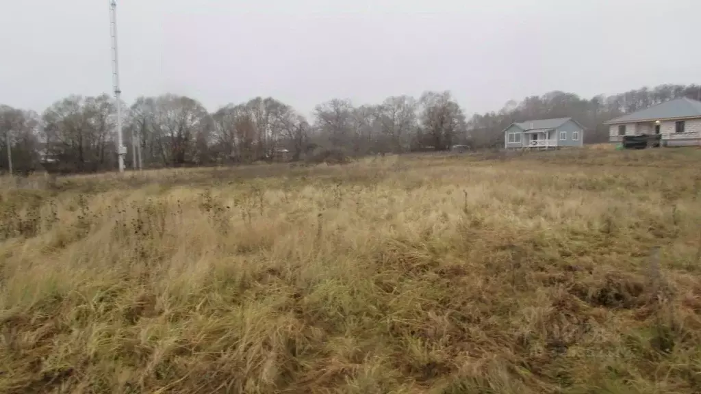 Участок в Московская область, Озеры Коломна городской округ,  (10.06 ... - Фото 2