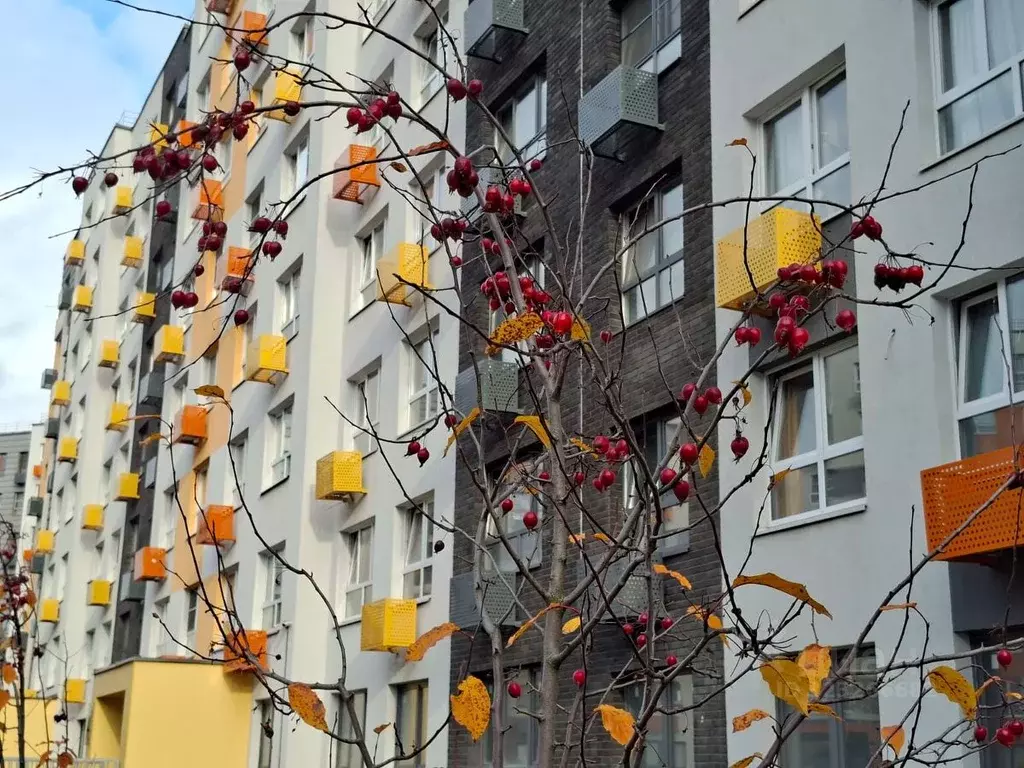 Студия Московская область, Красногорск городской округ, д. Глухово ул. ... - Фото 2