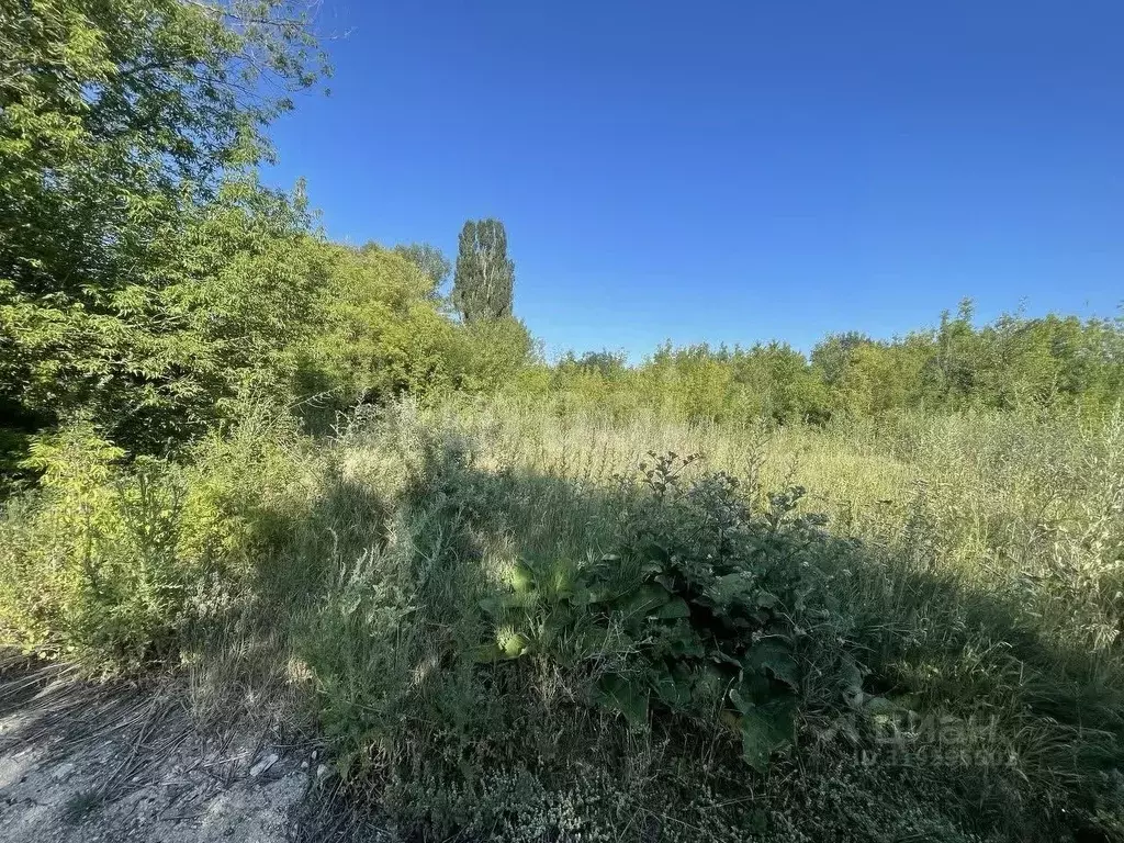 Участок в Крым, Симферопольский район, Трудовское с/пос, с. Денисовка ... - Фото 1
