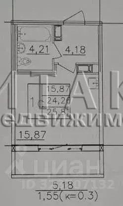 Студия Санкт-Петербург пос. Шушары, просп. Старорусский, 9 (24.8 м) - Фото 1