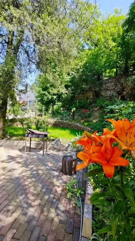 1-к кв. Ставропольский край, Кисловодск Красноармейская ул., 7 (33.0 ... - Фото 2