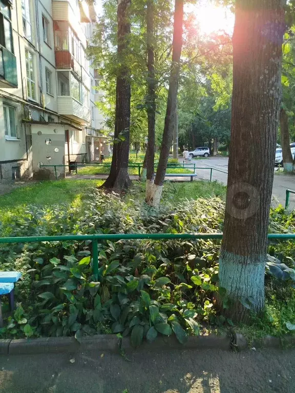 2-к. квартира, 44,2 м, 2/5 эт. - Фото 1
