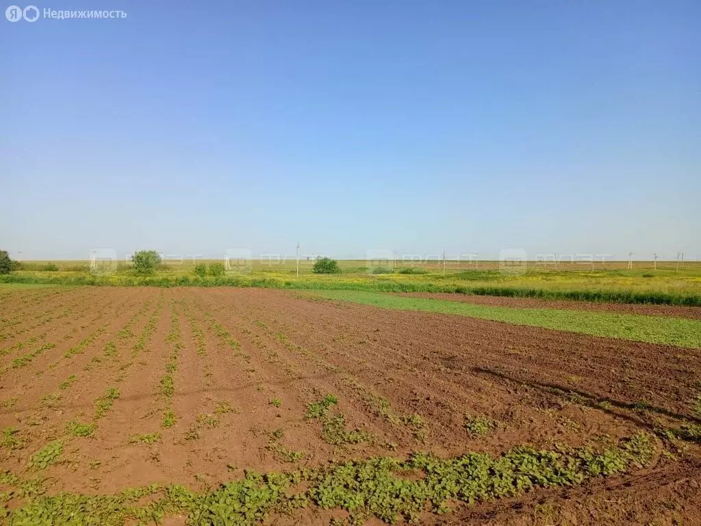 Участок в село Шапши, Полевая улица, 4 (25 м) - Фото 1