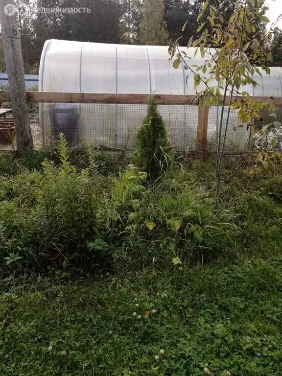 Участок в Архангельская область, Приморский муниципальный округ, СНТ ... - Фото 1