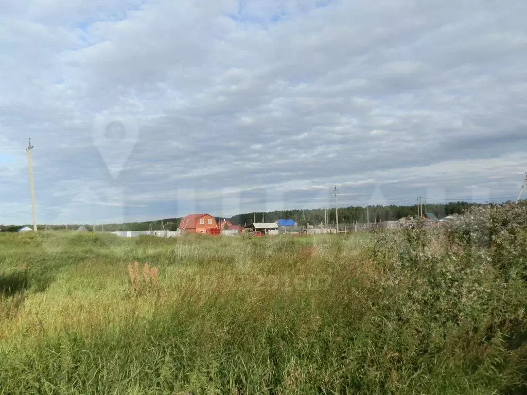 Село мальцево свердловская область. Мальцево (Свердловская область). Скородум Тугулымский район деревня. Деревня пинжаки. Подслушано в Мальцево Сычевского.