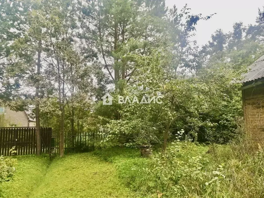 Участок в Московская область, Богородский городской округ, Лесное-2 ... - Фото 1